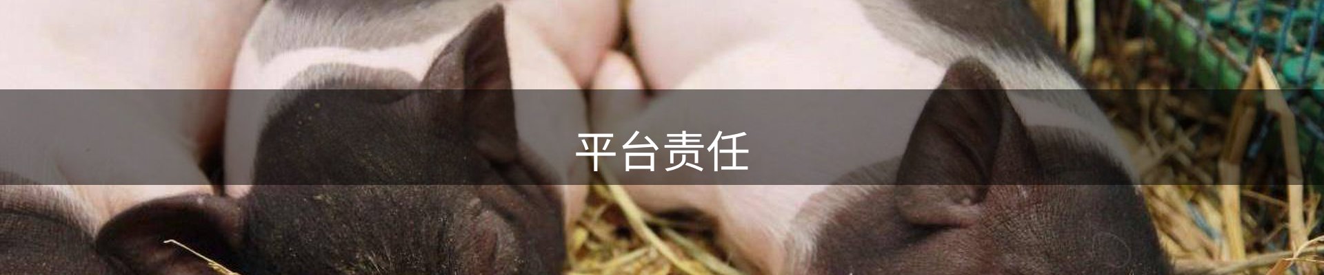 平台责任